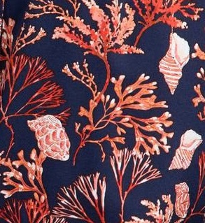 Cloud Zoom small image