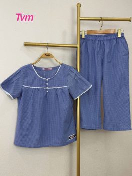 (Tiếng Việt) BỘ LỬNG B647