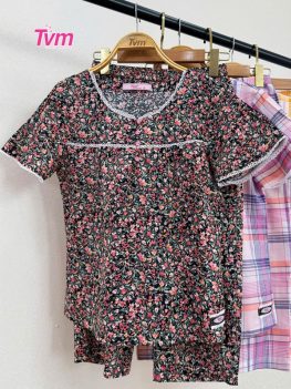 (Tiếng Việt) BỘ LỬNG B647