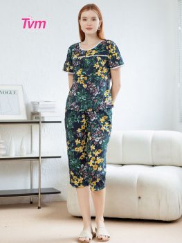 (Tiếng Việt) BỘ LỬNG B647