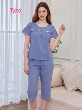 (Tiếng Việt) BỘ LỬNG B647