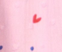 BỘ SHORT B709