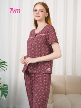 (Tiếng Việt) BỘ LỬNG B622