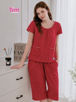 BỘ LỬNG B751