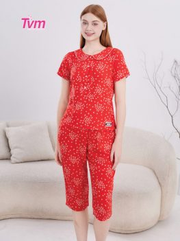 BỘ LỬNG B706