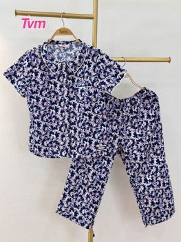 BỘ LỬNG B753