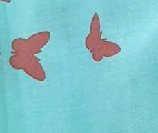 BỘ SHORT B699